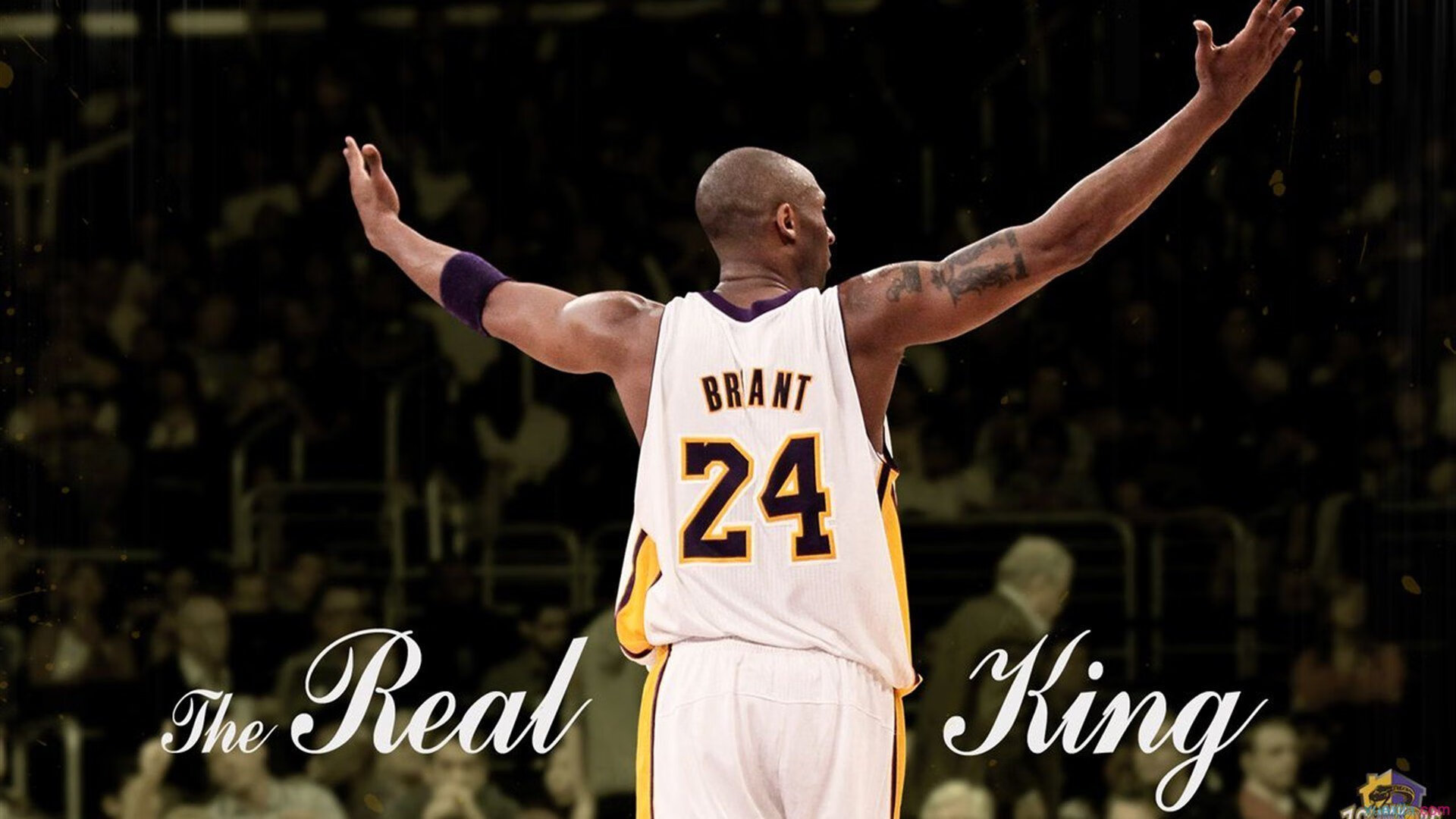 舞台越大越强,范弗利特与国王的争冠之路